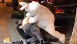 Veľkonočný zajac neváhal a vrhol sa do bitky, aby ochránil ženu