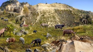 Hrozí nám ekologická katastrofa, ktorú by mohli prežiť len myši a komáre