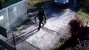 Video pobúrilo ľudí v celom Partizánskom. Žena surovo prehodila šteniatka cez plot útulku