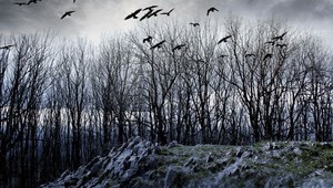 Padla prvá klapka. Režisér Bebjak nakrúca mysteriózny thriller