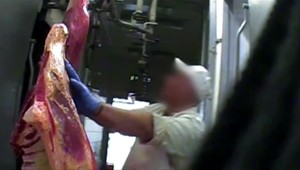 V troch zariadeniach mali poľskú hovädzinu evidovať ako slovenskú