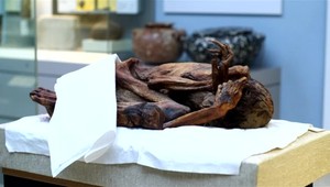 Najstaršie tetovanie, podľa vedcov má až 5 000 rokov