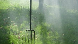 Súboj babičiek: Jedna (67) ovalila druhú (83) vidlami!