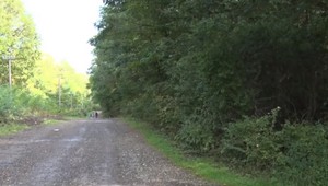 V prievidzskom lesoparku veterinár narazil na zúrivého medveďa