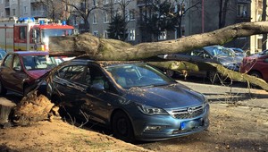 FOTO: Pod náporom vetra padol strom. Poškodené sú viaceré autá