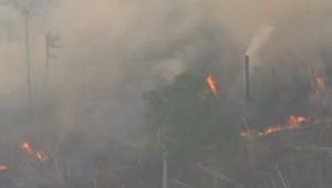 VIDEO: Požiar amazonského pralesa už vidieť aj z vesmíru. Vláde na boj s ohňom chýbajú peniaze