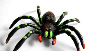 Muž sa pokúšal zabiť pavúka, podpálil si byt