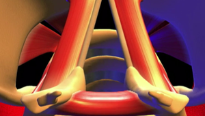 Stratili ste hlas? Toto je 13 dôvodov, prečo môžete byť zachrípnutí