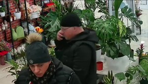 Floristku okradli priamo za pultom. Zlodeji ju rozptýlili zamieňaním peňazí