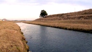 Za uhynuté ryby v rieke Poprad môže kyanid!