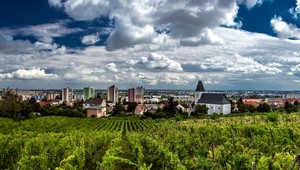 Neznámu šelmu videli v bratislavskej Rači. Podľa svedkov pripomína pumu