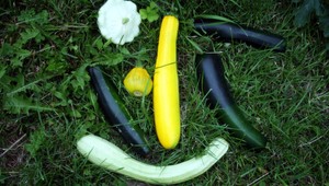 Nešťastná smrť. Muža (†79) zabila horká cuketa