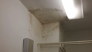 FOTO: Medici zbierajú dôkazy pre premiéra. Plesne v nemocniciach