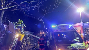 Tragédia na ceste do Handlovej: Kamionista neprežil silný náraz do stromu