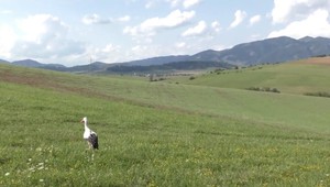 Smeruje na dovolenku do Afriky a každý jeho krok sledujú na monitoroch