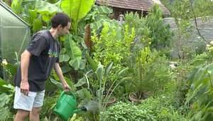 Záhrada plná exotiky: Branislav pestuje to, čo mnohí považujú za nemožné