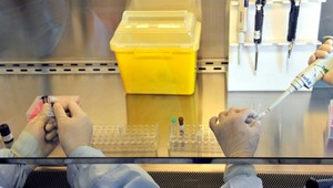 SAV láka na Slovensko vedcov. Dokonca prišli aj zahraniční odborníci