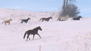 Prvý rekord zimy. Na Orave namerali -24,2 °C
