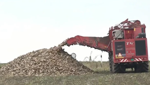 Nižšia výkupná cena by mohla viesť k zníženiu výmery pestovania cukrovej repy
