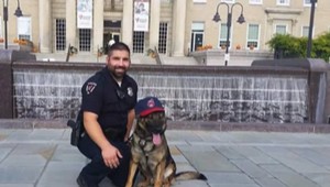 Štvornohý policajt musel do dôchodku. V službe mu bránila genetická porucha