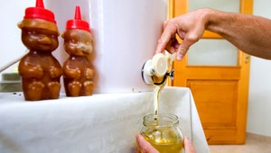 Zlá správa! Med zdražie. A dosť výrazne