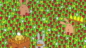 Náročná pátračka. Nájdete v tulipánoch veľkonočné vajíčko?