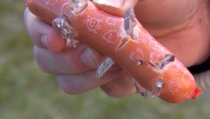 Šialený počin neznámeho páchateľa. Neďaleko ihriska nastražil párok so sklom ako návnadu pre zvieratá