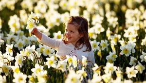 REBRÍČEK: Najšťastnejšia krajina je Fínsko. Kde sa umiestnilo Slovensko?