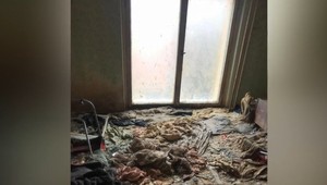 Bratislavský byt hrôzy: Desať kontajnerov odpadu a 25 mŕtvych psov