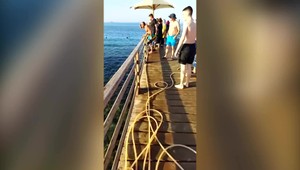 Slovenskí turisti boli svedkami útoku žraloka v Egypte. Predátor odhryzol žene nohu aj ruku