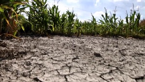 Namiesto jari máme leto a z oblohy nepadajú zrážky. Poľnohospodári hovoria o problémoch už teraz