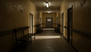 Mladistvá islamistka pobodala zdravotnú sestru. Polícia pred útokom varovala