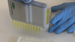 Môžeme vyrábať vakcínu proti Covid -19 aj na Slovensku? Potrebujeme pár mesiacov