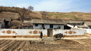 Strašná realita v Severnej Kórei. Bitka pre kukuricu...