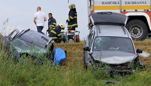 Muž, ktorý usmrtil štátneho tajomníka ministerstva kultúry a jeho manželku, bol pod vplyvom drog