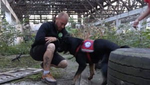 FOTO: Zachránený týraný psík sa stane sám záchranárom