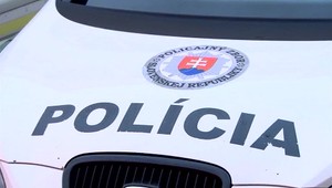 Auto skončilo v strome a v priekope. Mladík nehodu neprežil