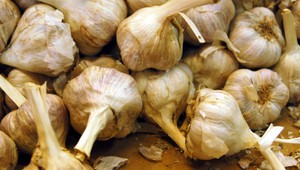 Liečivý cesnak. Je vraj dobrý aj na kožné problémy
