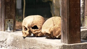Cestou na omšu našli na autobusovej zastávke dve ľudské lebky