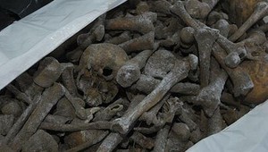 Hľadanie masového hrobu: Nacistickí vojaci stále nenájdení