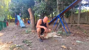 Príbeh so šťastným koncom: Z agresora je psík, ktorý by za človeka dal život