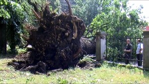 Michalovce zažili smršť! Zhodilo aj strechu na psychiatrii
