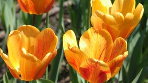 Po víkende prichádza citeľné oteplenie, avizujú meteorológovia