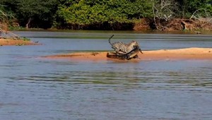 VIDEO. Neuveriteľné! Jaguár loví krokodíla