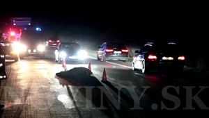 Auto sa zrazilo s jeleňom, zviera neprežilo