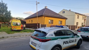 Matka strčila svoje bábätko do odkvapovej rúry. Súd jej nadelil 14 rokov väzenia