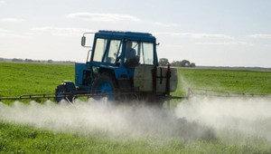 Slovenské mestá bez pesticídov. Predbehli aj pripravovanú legislatívu EÚ