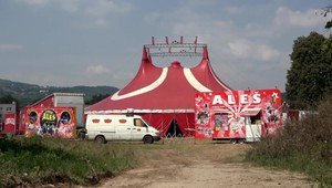 Záhadný prípad ošetrovateľa z cirkusu vyšetruje polícia. Za jeho smrťou nemusí byť agresívna ťava