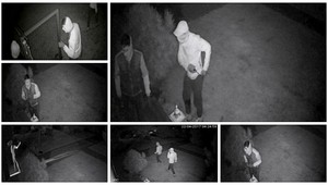 Zlodeji sa vlámali do domu pri Trnave, majiteľka po nich strieľala