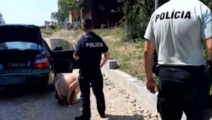 Bývalý boxer napadol svojich susedov, dokonca mal strieľať na privolaných policajtov